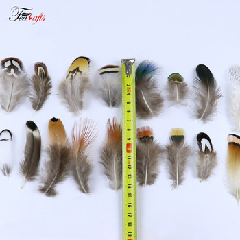 50 ΤΕΜ Φυσικά Φτερά κόκορα φασιανού Διακοσμητικά για DIY Σκουλαρίκια Υλικά Δημιουργίας Ρούχα Αξεσουάρ ραπτικής Plumas Crafts