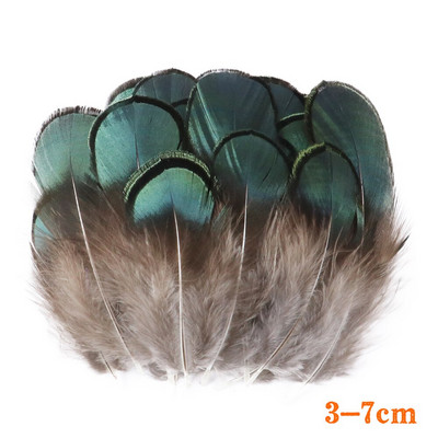50Vnt Natūralūs fazanai Gaidžio plunksnos Dekoratyvinės dirbtuvės Auskarai Kūrybinės Medžiagos Drabužiai Siuvimo Priedai Plumas Amatai