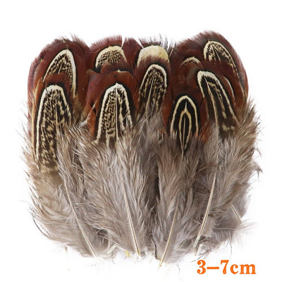 50Vnt Natūralūs fazanai Gaidžio plunksnos Dekoratyvinės dirbtuvės Auskarai Kūrybinės Medžiagos Drabužiai Siuvimo Priedai Plumas Amatai