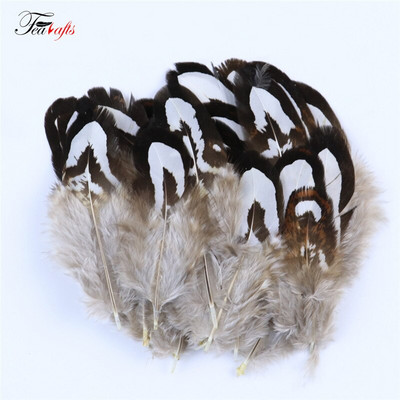 50Vnt Natūralūs fazanai Gaidžio plunksnos Dekoratyvinės dirbtuvės Auskarai Kūrybinės Medžiagos Drabužiai Siuvimo Priedai Plumas Amatai