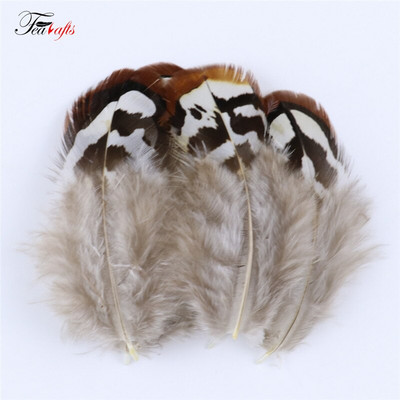 50Vnt Natūralūs fazanai Gaidžio plunksnos Dekoratyvinės dirbtuvės Auskarai Kūrybinės Medžiagos Drabužiai Siuvimo Priedai Plumas Amatai