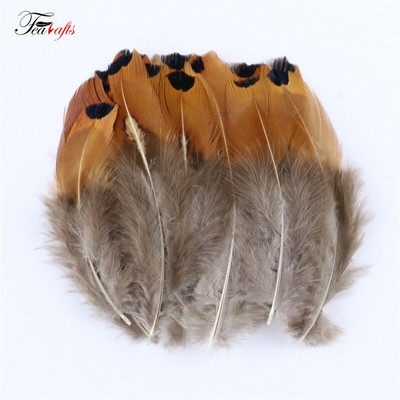 50Vnt Natūralūs fazanai Gaidžio plunksnos Dekoratyvinės dirbtuvės Auskarai Kūrybinės Medžiagos Drabužiai Siuvimo Priedai Plumas Amatai