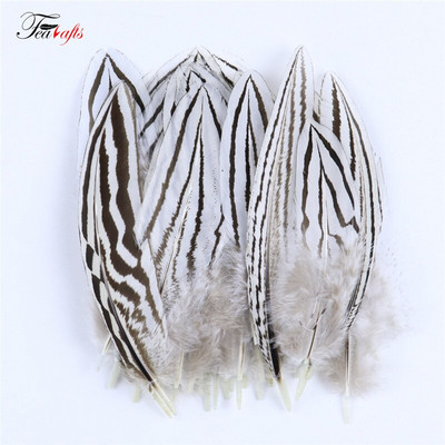50Vnt Natūralūs fazanai Gaidžio plunksnos Dekoratyvinės dirbtuvės Auskarai Kūrybinės Medžiagos Drabužiai Siuvimo Priedai Plumas Amatai