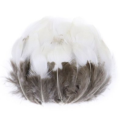 50Vnt Natūralūs fazanai Gaidžio plunksnos Dekoratyvinės dirbtuvės Auskarai Kūrybinės Medžiagos Drabužiai Siuvimo Priedai Plumas Amatai