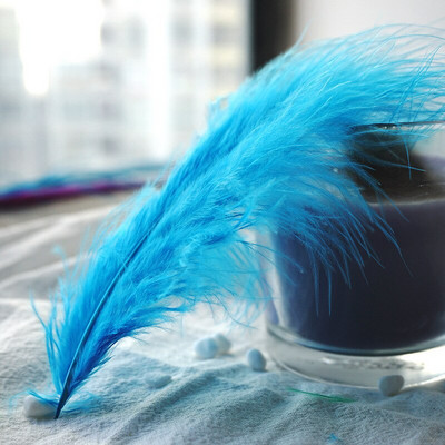 Pene de pui 10-15 cm 4-6 inci Pene naturale de curcan Artizanat de bricolaj pentru carnaval Halloween Craciun Dersses pentru musulm