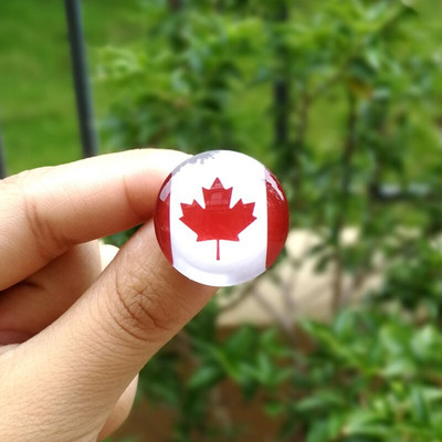 Kristalni metalni svjetski broševi značka Crveno bijeli privjesci Viteški grb Bjelorusije Povijesna zastava Broš/Bedževi/Igle za rever