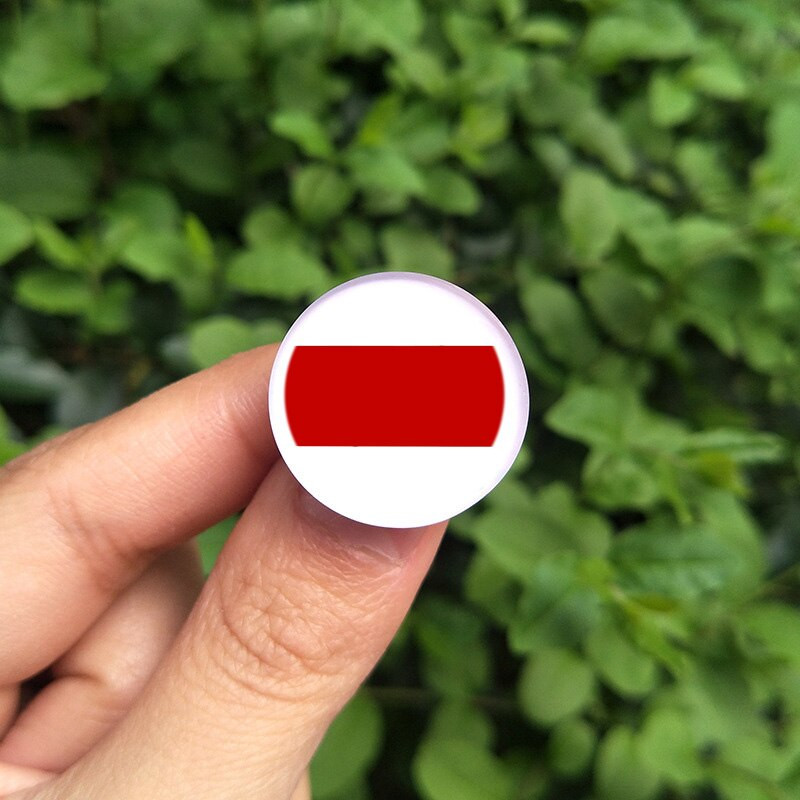 Kristalni metalni svjetski broševi značka Crveno bijeli privjesci Viteški grb Bjelorusije Povijesna zastava Broš/Bedževi/Igle za rever