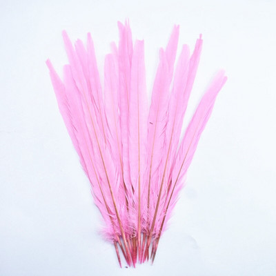 10 бр./Партида пера от опашка на женски фазан 25-30 см/10-12" естествени пера от фазан за занаяти Сватбени пера Декорация Plumas