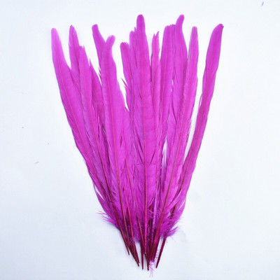 10 бр./Партида пера от опашка на женски фазан 25-30 см/10-12" естествени пера от фазан за занаяти Сватбени пера Декорация Plumas