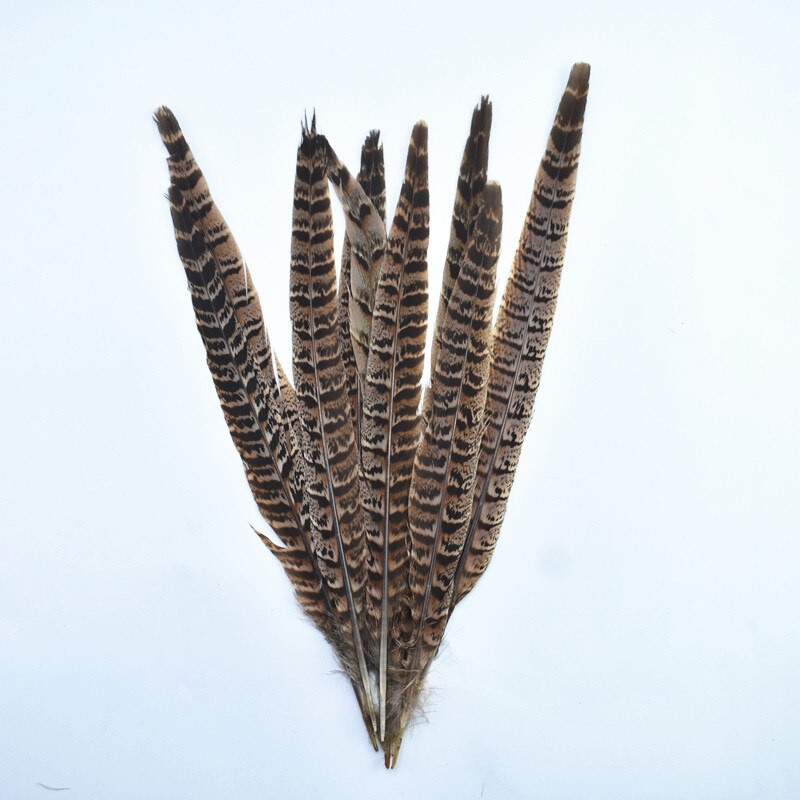 10 бр./Партида пера от опашка на женски фазан 25-30 см/10-12" естествени пера от фазан за занаяти Сватбени пера Декорация Plumas