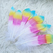 10 tk värvimine hanesulgi gradientsulg 13-18 cm, DIY Dreamcatcher Pulmakäsitöö müts Ploomid Dekoratsioon