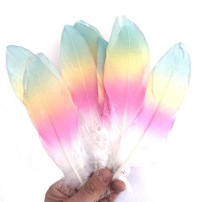 10 tk värvimine hanesulgi gradientsulg 13-18 cm, DIY Dreamcatcher Pulmakäsitöö müts Ploomid Dekoratsioon