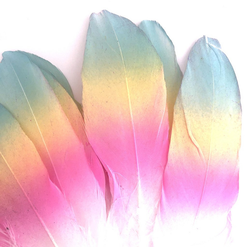 10 tk värvimine hanesulgi gradientsulg 13-18 cm, DIY Dreamcatcher Pulmakäsitöö müts Ploomid Dekoratsioon