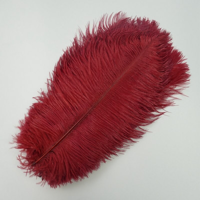 10 vnt./St. Spalvotos stručio plunksnos Baltos Juodos Stručio plunksnos Dekoras Stalo centriniai elementai Vazos Šventinis Vestuvių Vakarėlio dekoravimas