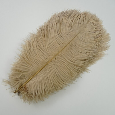 10 vnt./St. Spalvotos stručio plunksnos Baltos Juodos Stručio plunksnos Dekoras Stalo centriniai elementai Vazos Šventinis Vestuvių Vakarėlio dekoravimas