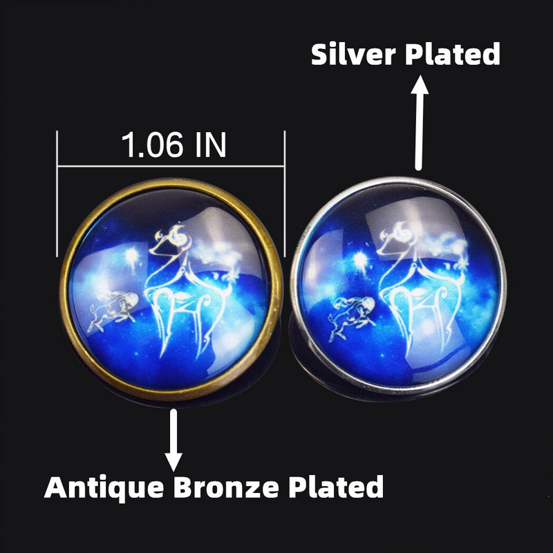 Insignă broască țestoasă Retro Animal de mare Delfin Broșă rotundă din cristal de sticlă Personalizat DIY Haine Genți Accesorii de decorare pălărie