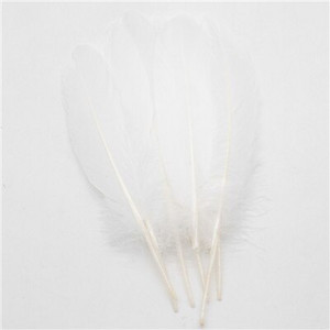 50 buc/lot pene naturale de gâscă 15-20 cm 6-8 inchi pene pentru meșteșuguri Accesorii de decorare Plume Home Decorare nuntă DIY