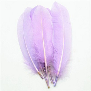 50 buc/lot pene naturale de gâscă 15-20 cm 6-8 inchi pene pentru meșteșuguri Accesorii de decorare Plume Home Decorare nuntă DIY