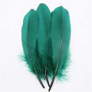 50 buc/lot pene naturale de gâscă 15-20 cm 6-8 inchi pene pentru meșteșuguri Accesorii de decorare Plume Home Decorare nuntă DIY