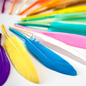 50 buc. pene albe, pene de gâscă naturală, 10-15 cm, pentru lucrari de ac și artizanat, accesorii de bijuterii DIY, decorațiuni pentru petreceri de nuntă