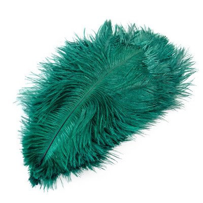 10 buc/lot pene de struț naturale pentru meșteșuguri Pene albe pentru vaze Decorare petreceri de nuntă Accesorii artizanale Pene DIY