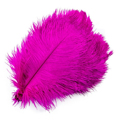 10 buc/lot pene de struț naturale pentru meșteșuguri Pene albe pentru vaze Decorare petreceri de nuntă Accesorii artizanale Pene DIY