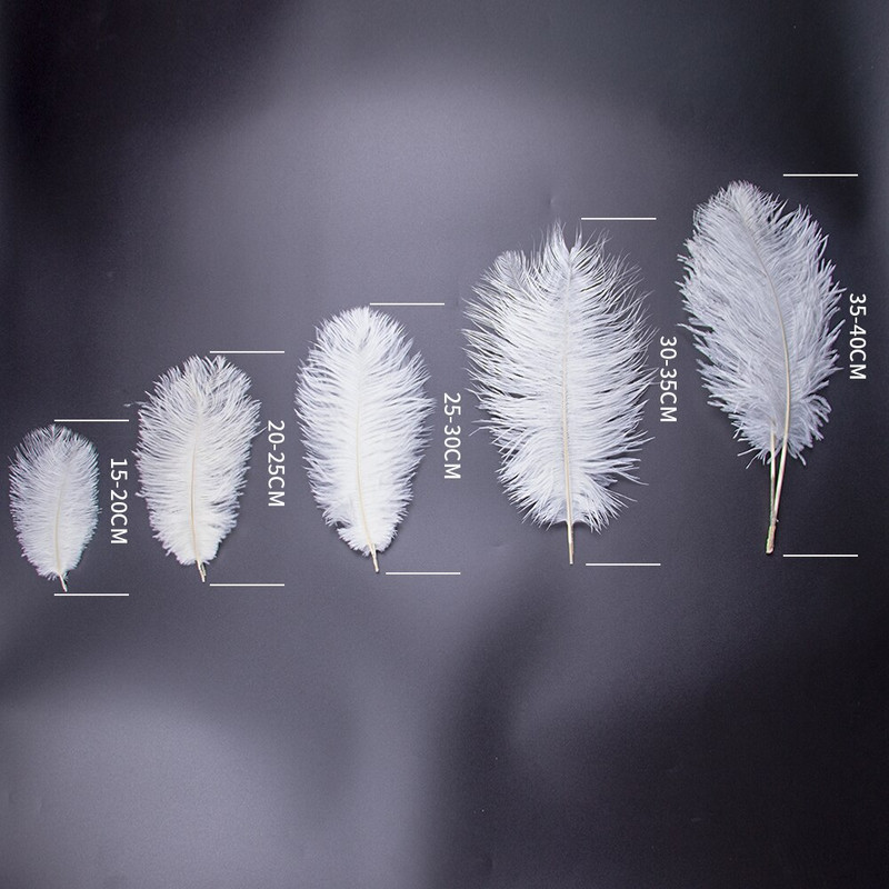 10 buc/lot pene de struț naturale pentru meșteșuguri Pene albe pentru vaze Decorare petreceri de nuntă Accesorii artizanale Pene DIY