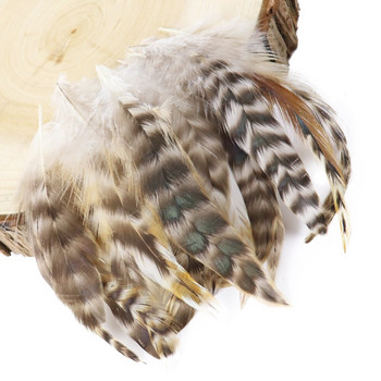 50 τμχ Φυσικά φτερά φασιανού 4-6 ιντσών Diy κοσμήματα αξεσουάρ ρούχων Φτερό λοφίο κοτόπουλου για χειροτεχνίες