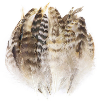 50 buc pene naturale de fazan 4-6 inch Bijuterii bricolaj Accesorii pentru îmbrăcăminte Pene de pin de pui pentru meșteșuguri