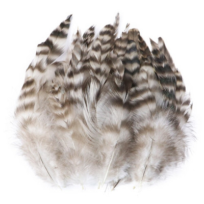 50 buc pene naturale de fazan 4-6 inch Bijuterii bricolaj Accesorii pentru îmbrăcăminte Pene de pin de pui pentru meșteșuguri