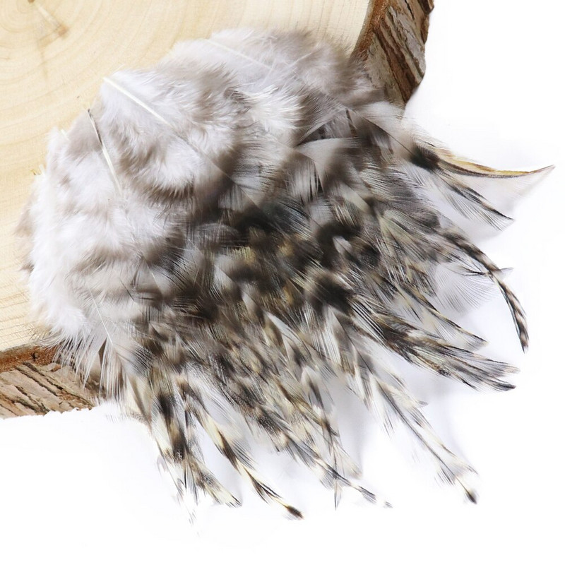 50 buc pene naturale de fazan 4-6 inch Bijuterii bricolaj Accesorii pentru îmbrăcăminte Pene de pin de pui pentru meșteșuguri