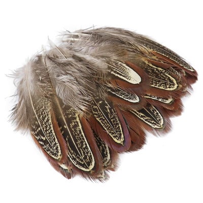 100 komada prirodnog pijetlovog perja DIY vjenčanica Dekoracija karnevalskog nakita Dodaci Obojano pileće perje za rukotvorine 3-8 CM