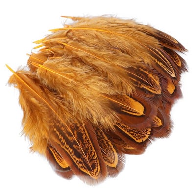 100 komada prirodnog pijetlovog perja DIY vjenčanica Dekoracija karnevalskog nakita Dodaci Obojano pileće perje za rukotvorine 3-8 CM