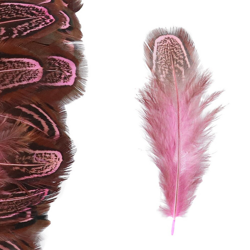 100 komada prirodnog pijetlovog perja DIY vjenčanica Dekoracija karnevalskog nakita Dodaci Obojano pileće perje za rukotvorine 3-8 CM