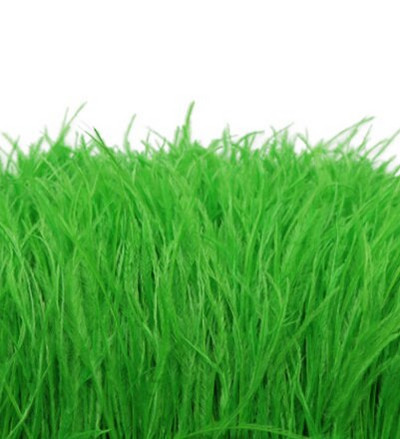 1-meetrine kohev ehtsate jaanalinnusulgede trimmimine 8–10 cm näputöö Jaanalinnusulgede lint pulmakleidi jaoks dekoratiivsete sulgedega meisterdamine