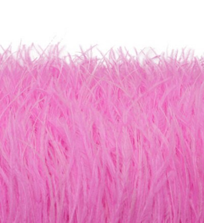 1-meetrine kohev ehtsate jaanalinnusulgede trimmimine 8–10 cm näputöö Jaanalinnusulgede lint pulmakleidi jaoks dekoratiivsete sulgedega meisterdamine