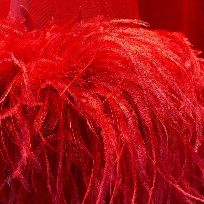 1-meetrine kohev ehtsate jaanalinnusulgede trimmimine 8–10 cm näputöö Jaanalinnusulgede lint pulmakleidi jaoks dekoratiivsete sulgedega meisterdamine