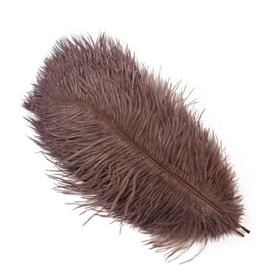 10 vnt. Spalvingos stručio plunksnos Kokybiškos plunksnos rankdarbiams Rankdarbių reikmenys Vestuvių namų stalo puošmena