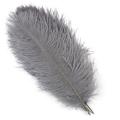 10 vnt. Spalvingos stručio plunksnos Kokybiškos plunksnos rankdarbiams Rankdarbių reikmenys Vestuvių namų stalo puošmena