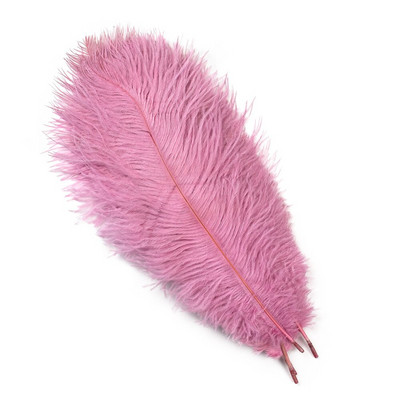 10 vnt. Spalvingos stručio plunksnos Kokybiškos plunksnos rankdarbiams Rankdarbių reikmenys Vestuvių namų stalo puošmena