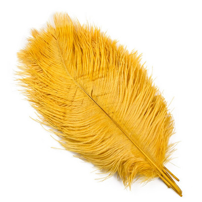 10 vnt. Spalvingos stručio plunksnos Kokybiškos plunksnos rankdarbiams Rankdarbių reikmenys Vestuvių namų stalo puošmena