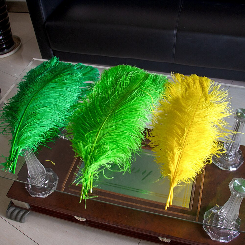 10 vnt. Spalvingos stručio plunksnos Kokybiškos plunksnos rankdarbiams Rankdarbių reikmenys Vestuvių namų stalo puošmena
