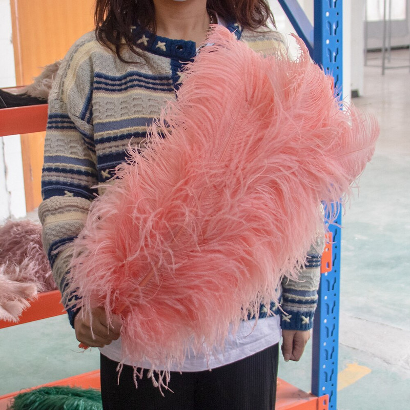 10 vnt. Spalvingos stručio plunksnos Kokybiškos plunksnos rankdarbiams Rankdarbių reikmenys Vestuvių namų stalo puošmena