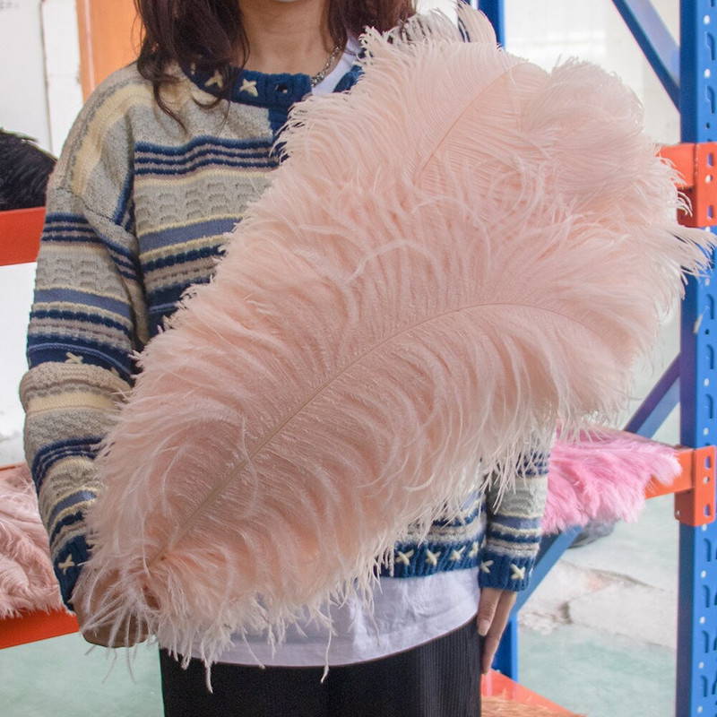 10 vnt. Spalvingos stručio plunksnos Kokybiškos plunksnos rankdarbiams Rankdarbių reikmenys Vestuvių namų stalo puošmena