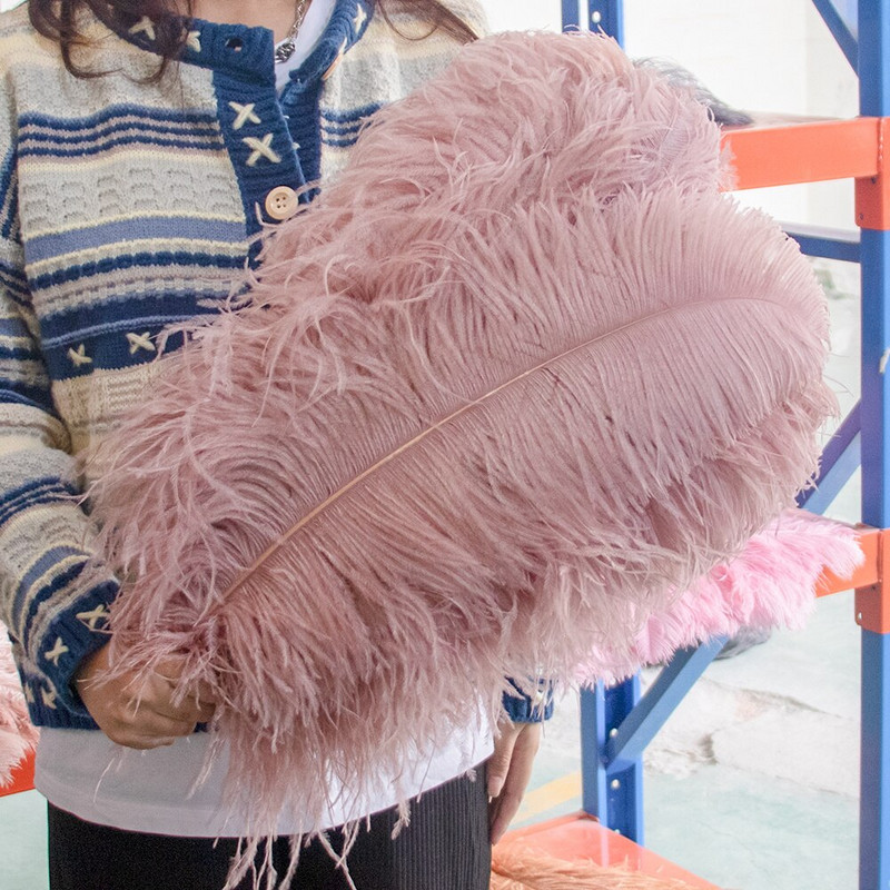 10 vnt. Spalvingos stručio plunksnos Kokybiškos plunksnos rankdarbiams Rankdarbių reikmenys Vestuvių namų stalo puošmena