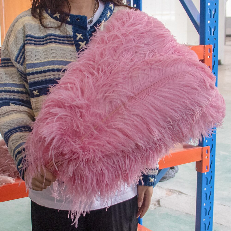 10 vnt. Spalvingos stručio plunksnos Kokybiškos plunksnos rankdarbiams Rankdarbių reikmenys Vestuvių namų stalo puošmena