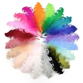 20 komada Spiralno guščje perje u boji za rukotvorine 12-18 cm perje za hvatanje snova Umjetni ukrasi DIY dodaci za svatove