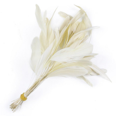 50 tk/partii triibulised pleegitatud coque suled kleitidele Dekoratsioon Näputöö Käsitöö Aksessuaarid 15-20cm Kuke kukeseened