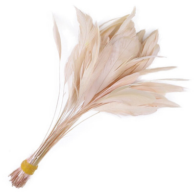 50 tk/partii triibulised pleegitatud coque suled kleitidele Dekoratsioon Näputöö Käsitöö Aksessuaarid 15-20cm Kuke kukeseened