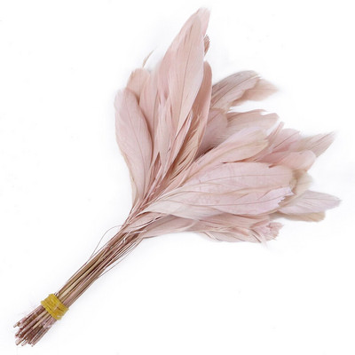 50 tk/partii triibulised pleegitatud coque suled kleitidele Dekoratsioon Näputöö Käsitöö Aksessuaarid 15-20cm Kuke kukeseened